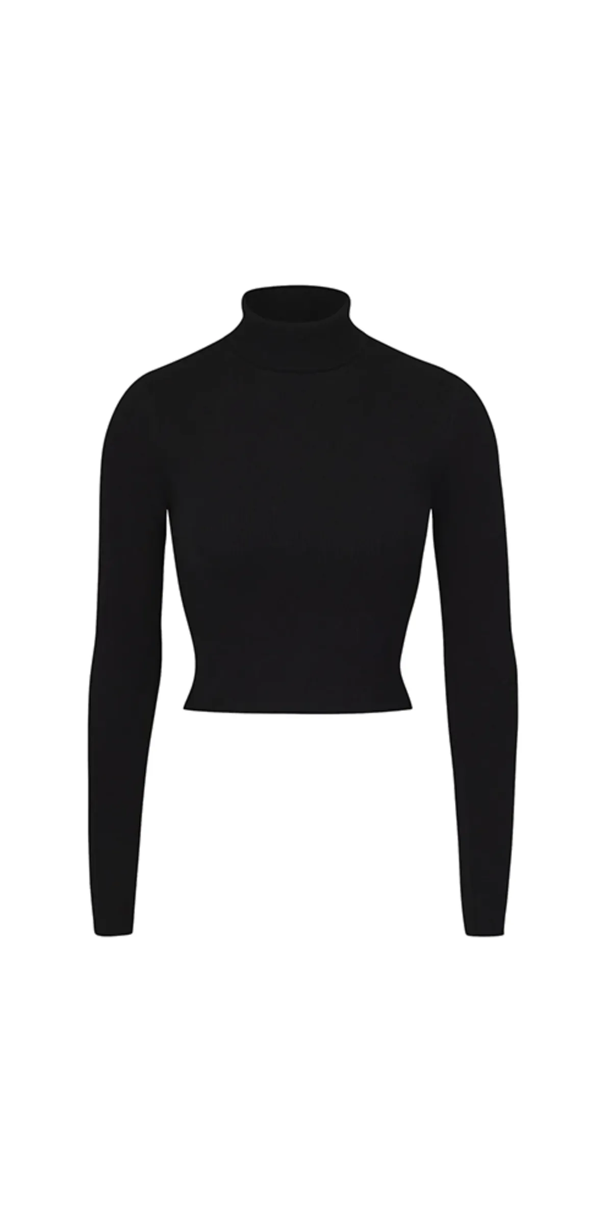 Cropped Fitted Turtleneck - Black