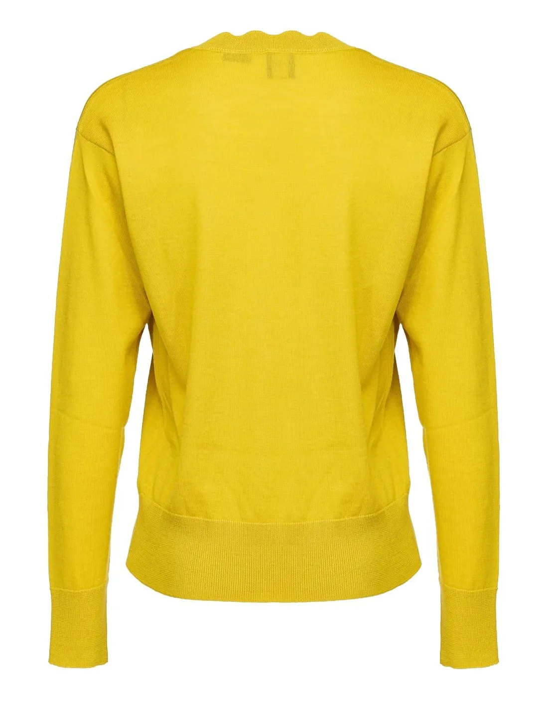 Pullover Pinko donna 1G17UBY771 giallo AI22