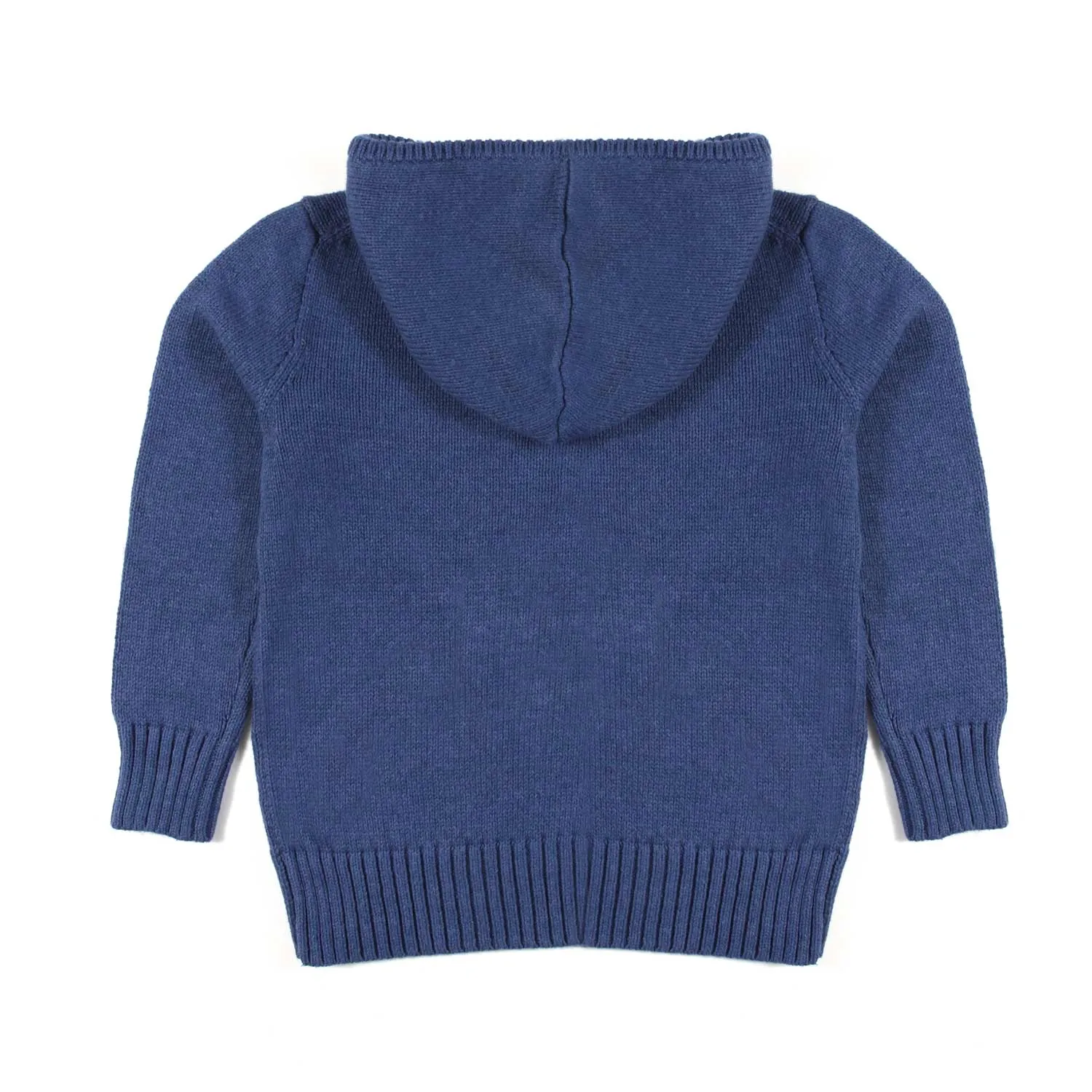 Ralph Lauren Blue Polo Bear Hooded Pullover For Kids